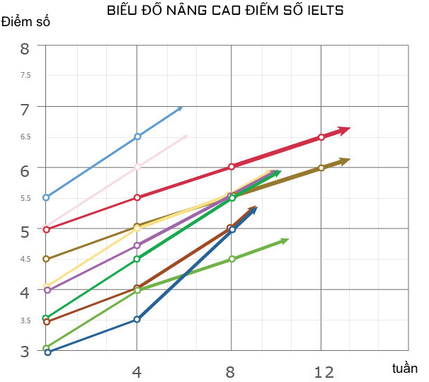 Biểu đồ nâng điểm số IELTS