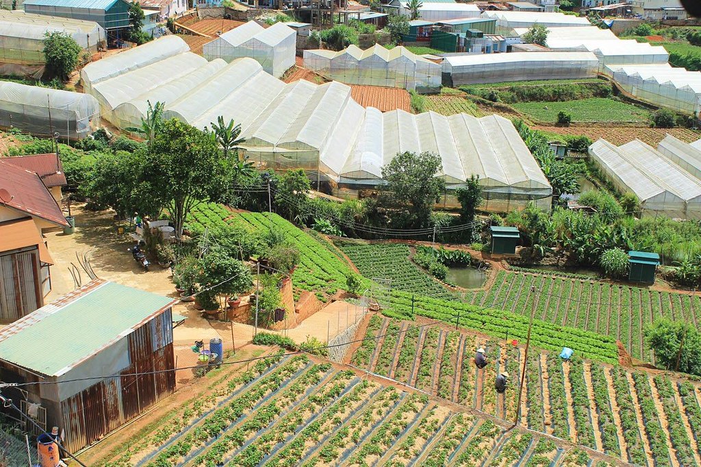 View nông trại từ Bonjour Villa
