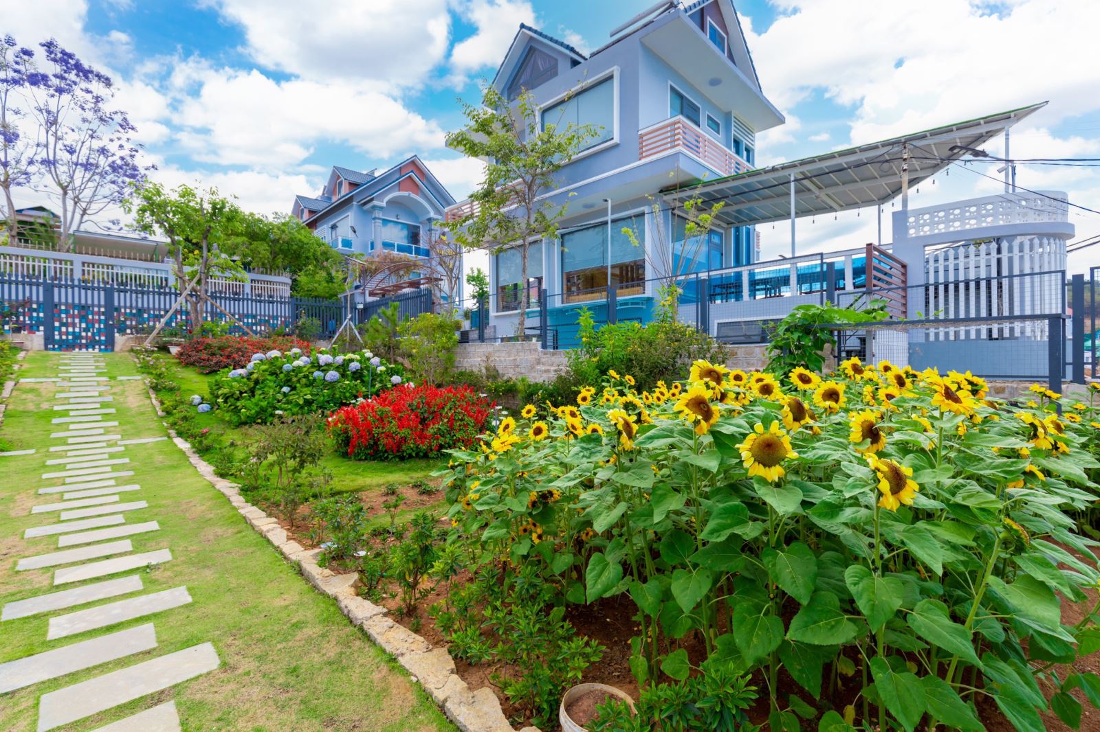 Vườn hoa Bonjour Villa Vườn hoa Bonjour Villa