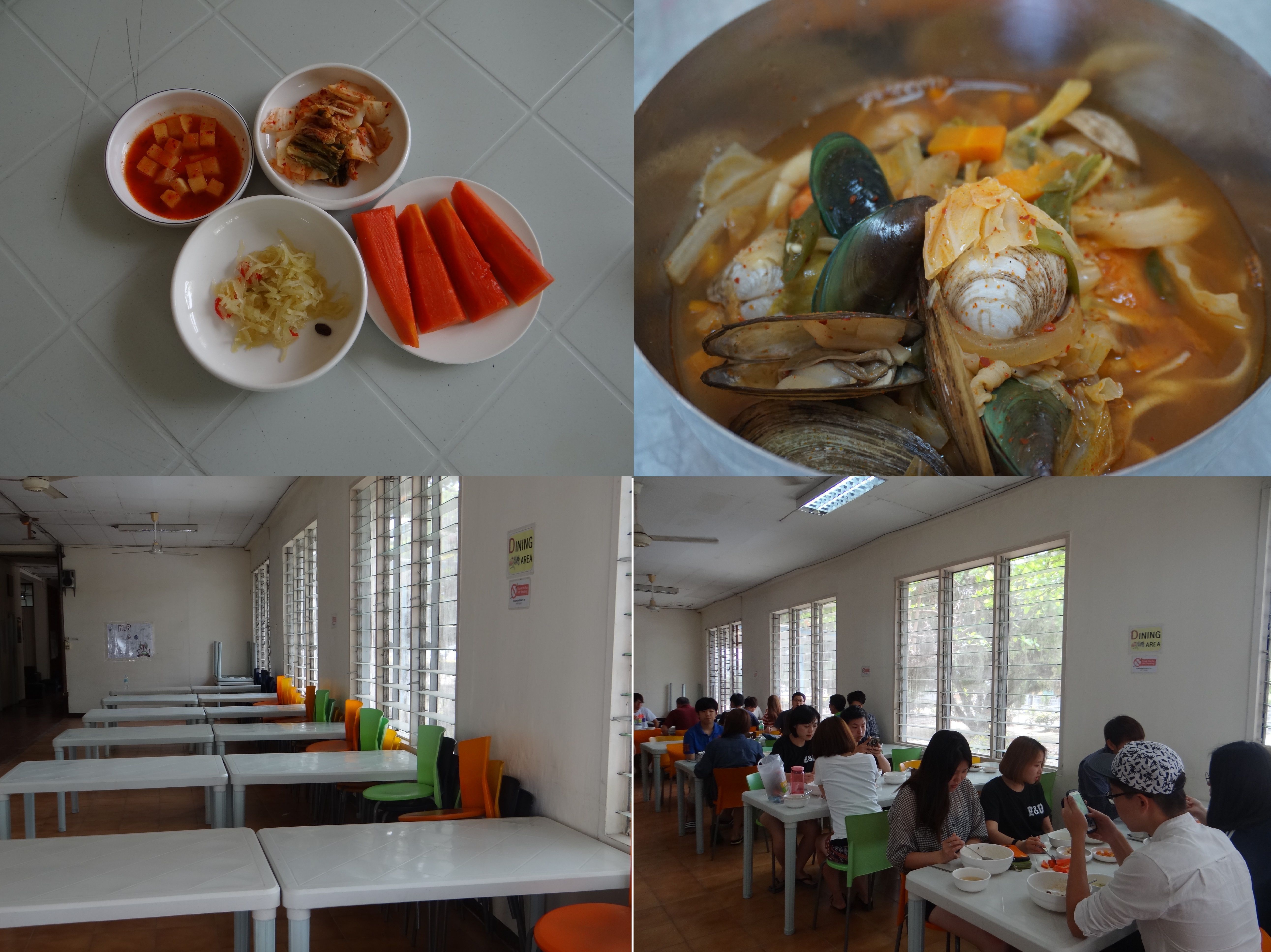 DSC08768.JPG