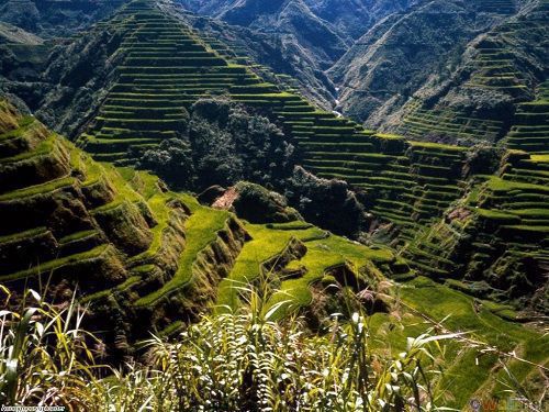 Baguio - thành phố học thuật cho du học sinh tiếng anh Baguio - thành phố học thuật cho du học sinh tiếng anh.jpg