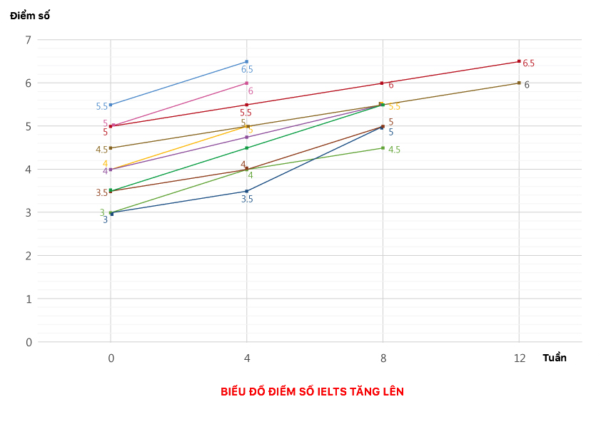 ielts-tang