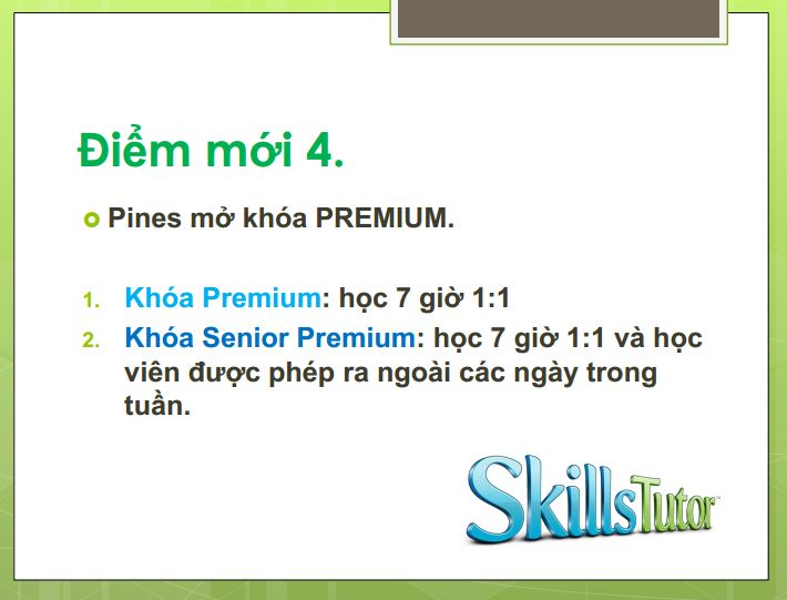 pine-diem-moi-premium