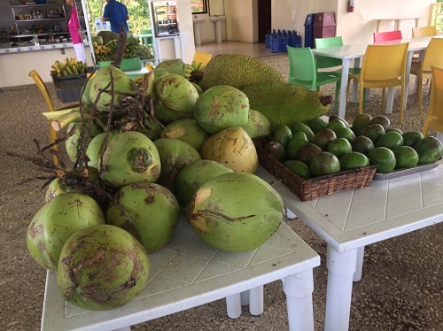 trai-cay-phuc-vu-an