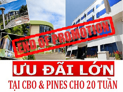 20 tuần học cho “Bộ đôi hoàn hảo: ESL + IELTS” – CBOA & PINES Chapis