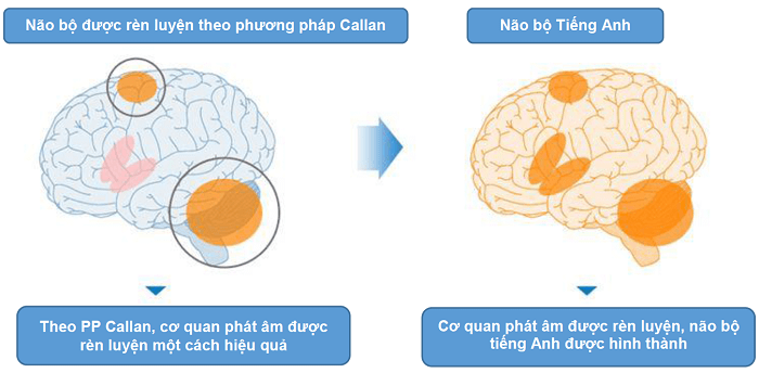 QQ English rèn luyện kỹ năng hội thoại cho học viên như thế nào?