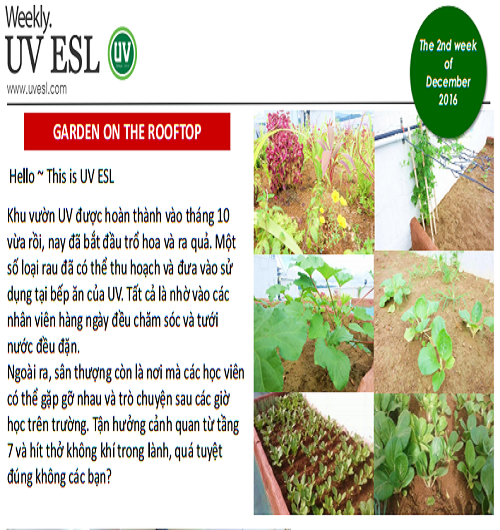 Bản tin UV ESL tuần 02 tháng 12 năm 2016