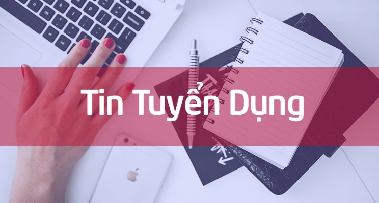 Phil English cần tuyển vị trí chuyên viên tư vấn và Website Content