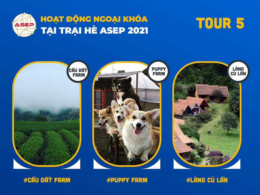 hoat-dong-ngoai-khoa-trai-he-tieng-anh-da-lat-5