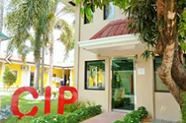 hoc-tieng-anh-thuong-mai-khi-di-du-hoc-philippines-tai-truong-anh-ngu-cip