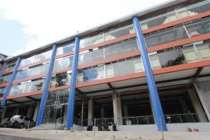 pines-main-preview-img